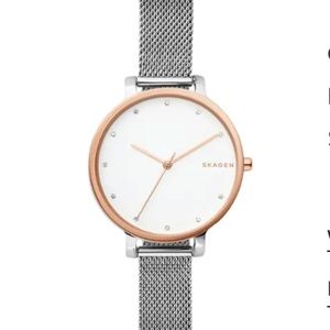 Skagen Hagen Watch, silver